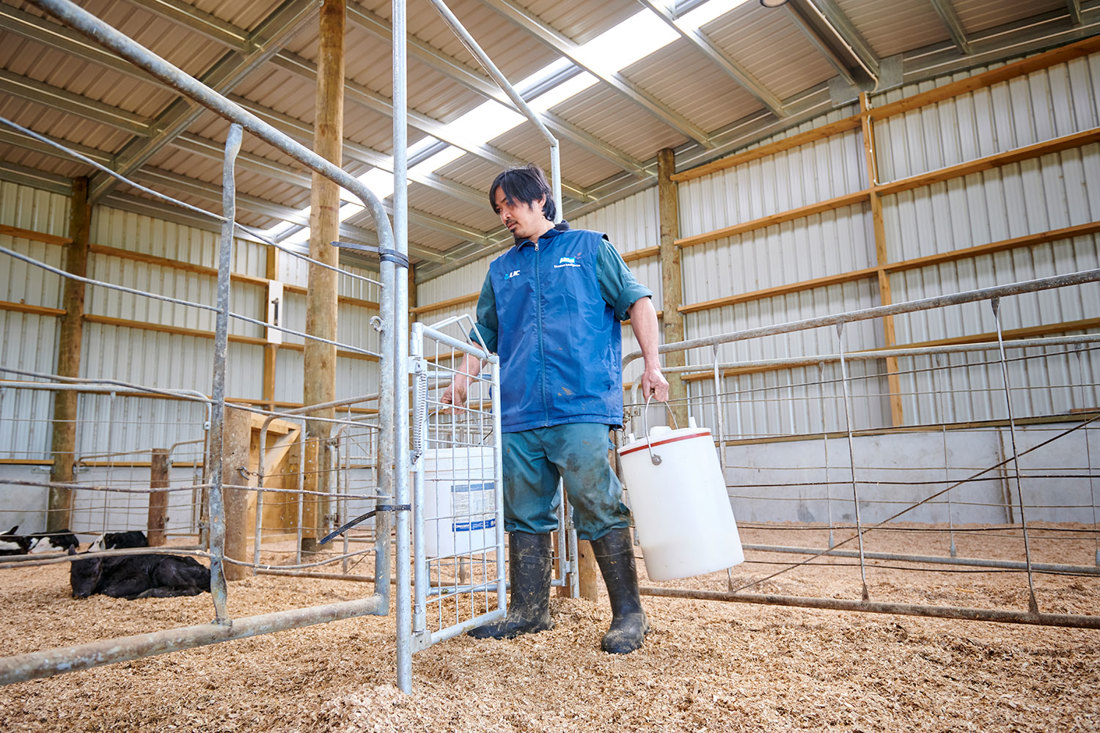 Calf Pen Gate 1