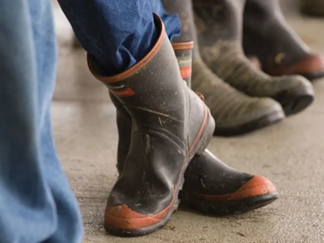 Workplace Accord POD