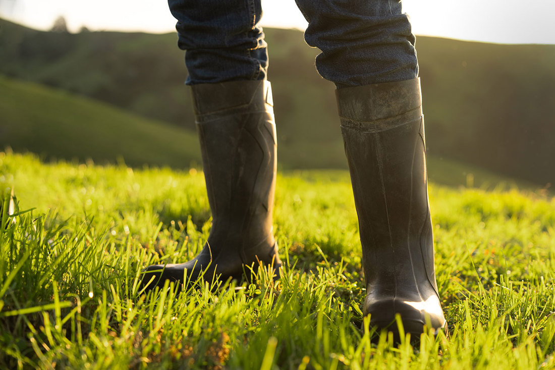 A dairy farmer standing in a paddock wearing gumboots