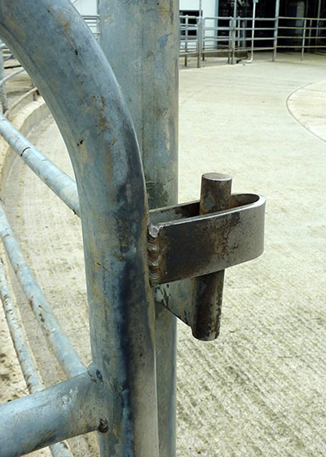 Exposed Hinge 400X560