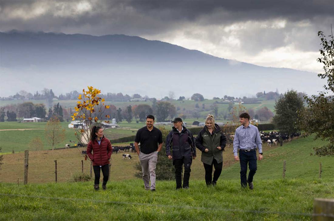 Rural professionals walking through a dairy farm paddock