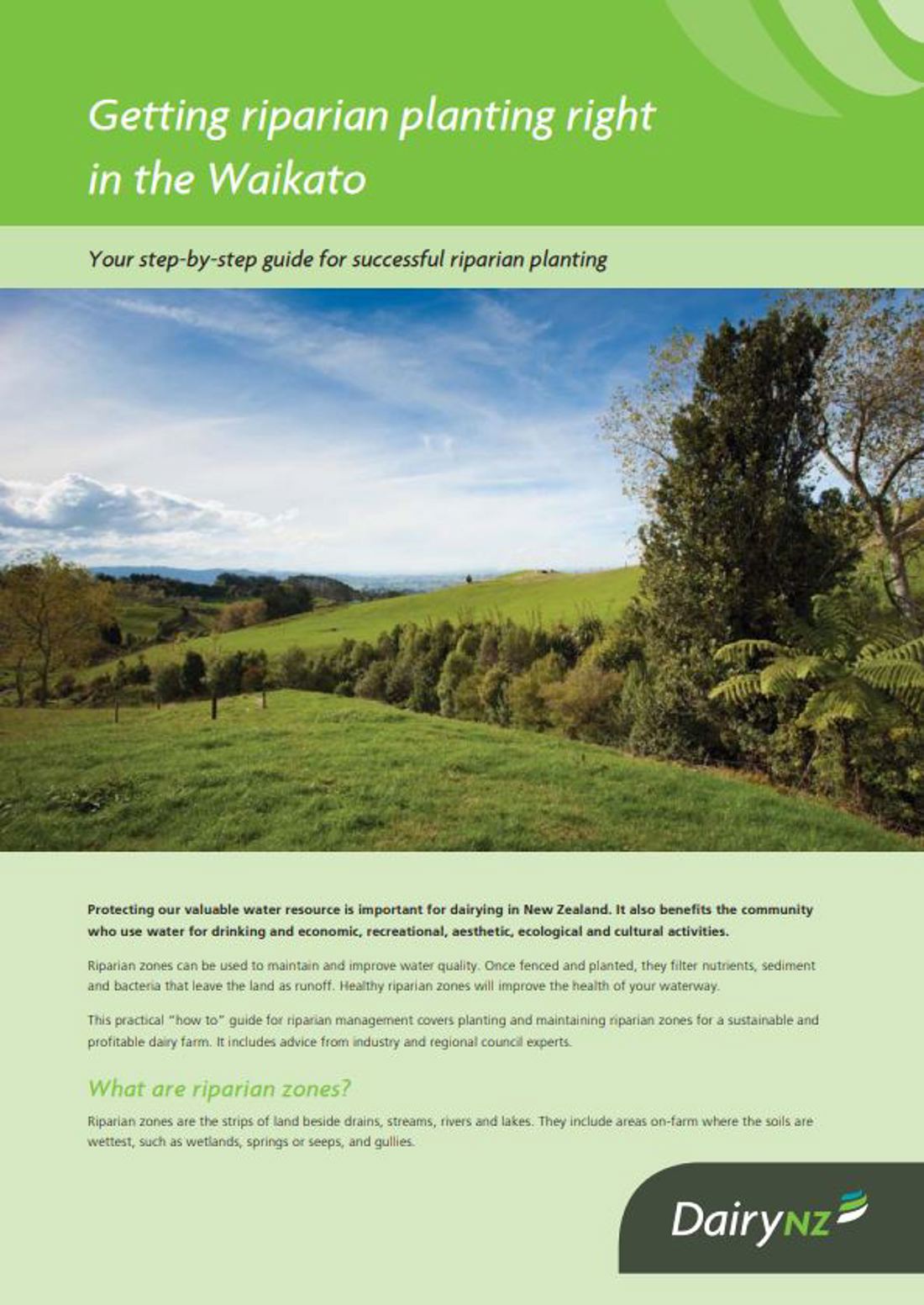 Getting Riparian Planting Right Waikato Image