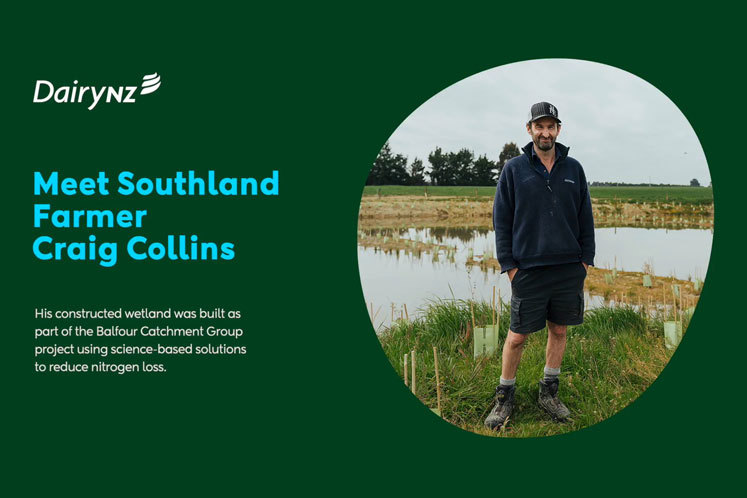 Craig Collins Wetland 747X498