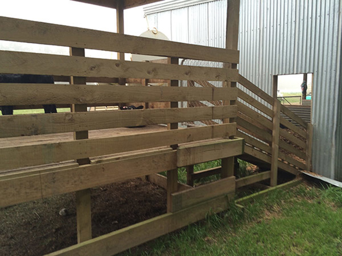 Raised Sheltered Pen With Direct Access To Bobby Calf Housing