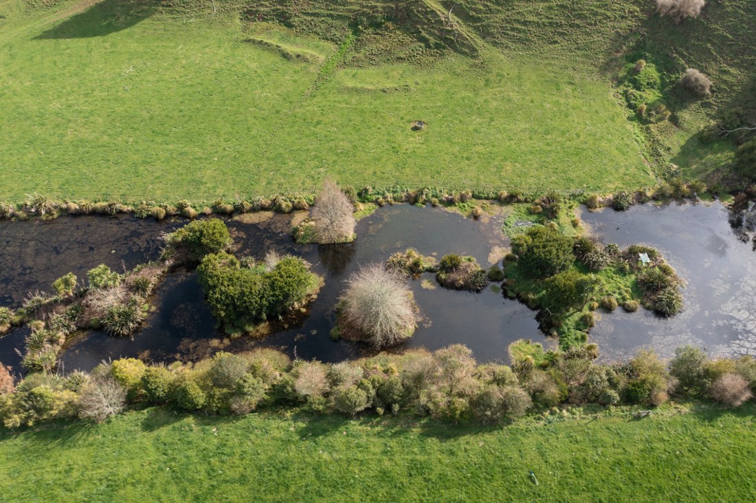 Aerial photo of a stream running through a dairy farm with riparian planting along the edges