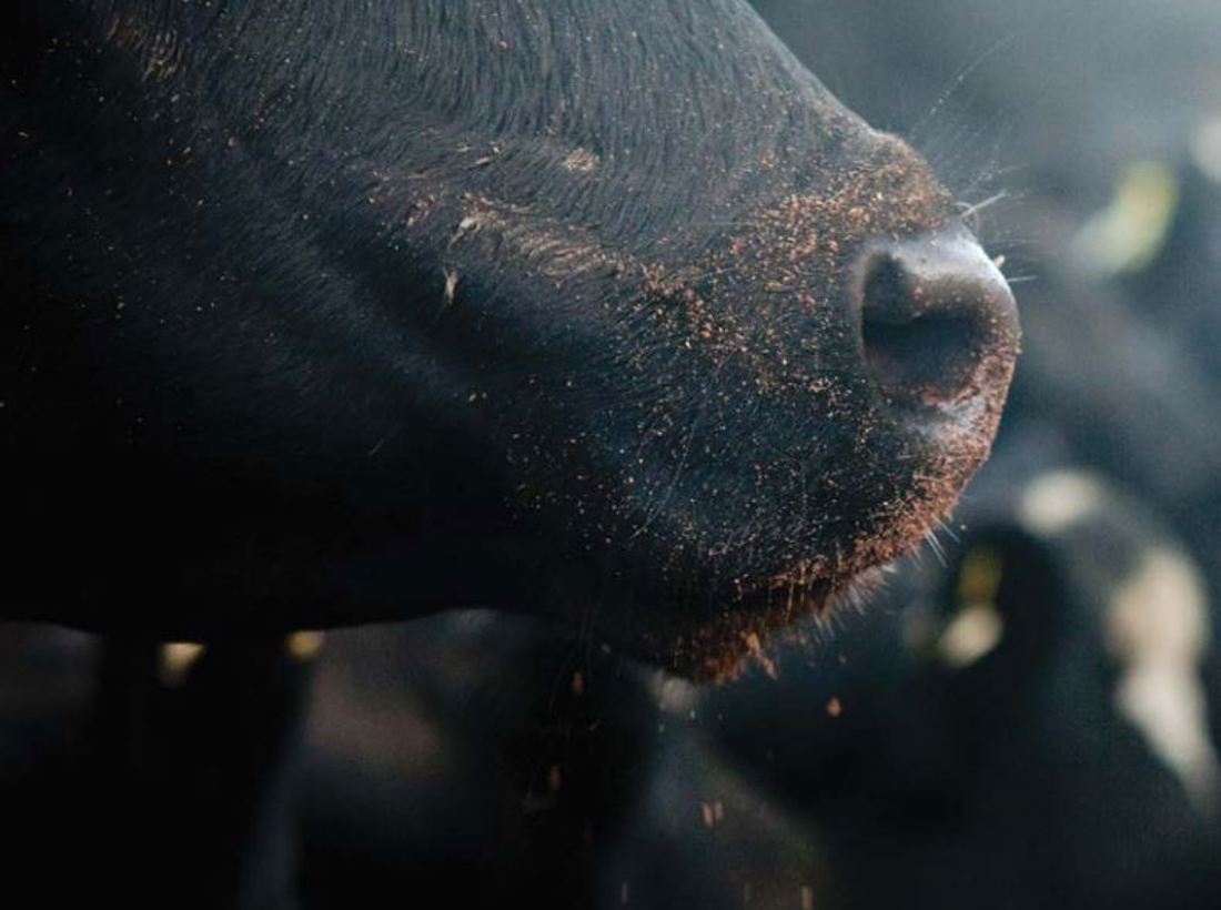 Tech Series September 2015 The Science Behind The Supplement Price Calculator