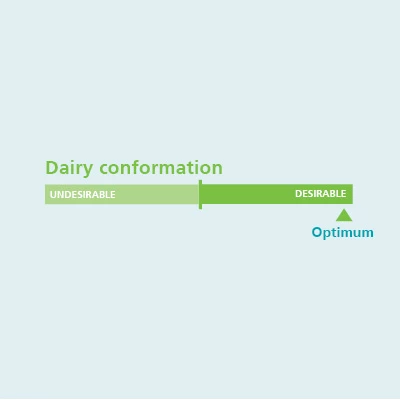 body and dairy conformation traits