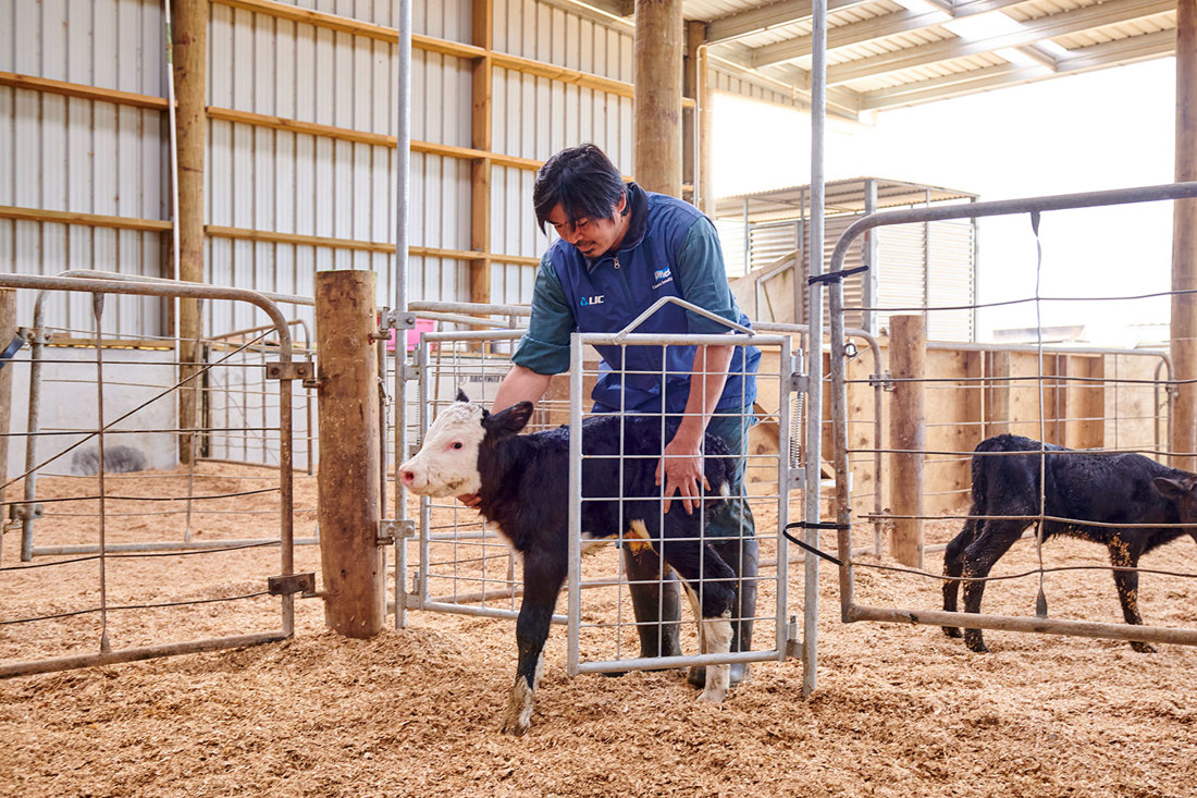 Calf Pen Gate 3