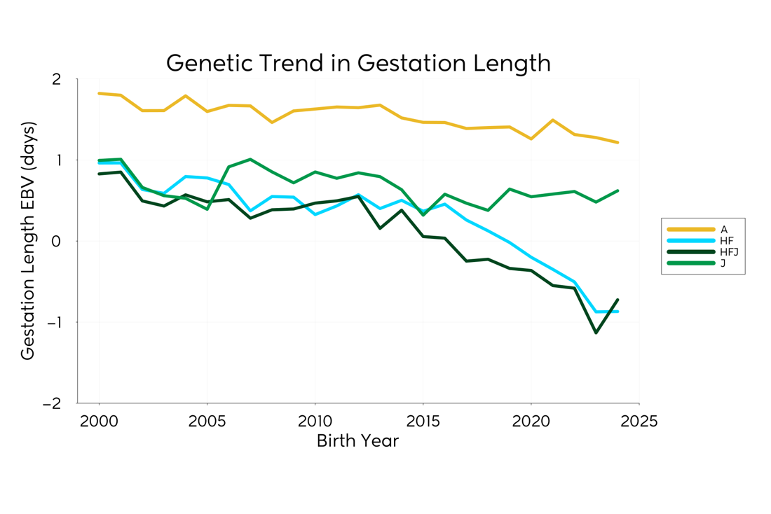 Genetic Trend Graph Gestlength 2025
