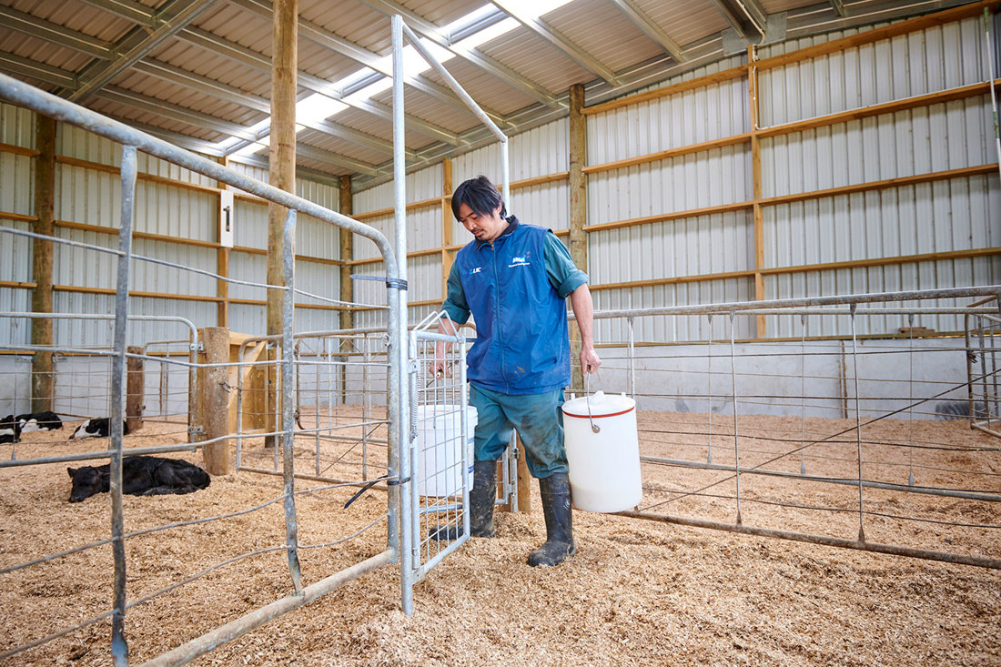 Calf Pen Gate 2