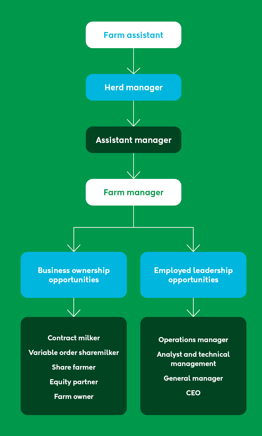 Dairy Farm Career Pathways Diagram