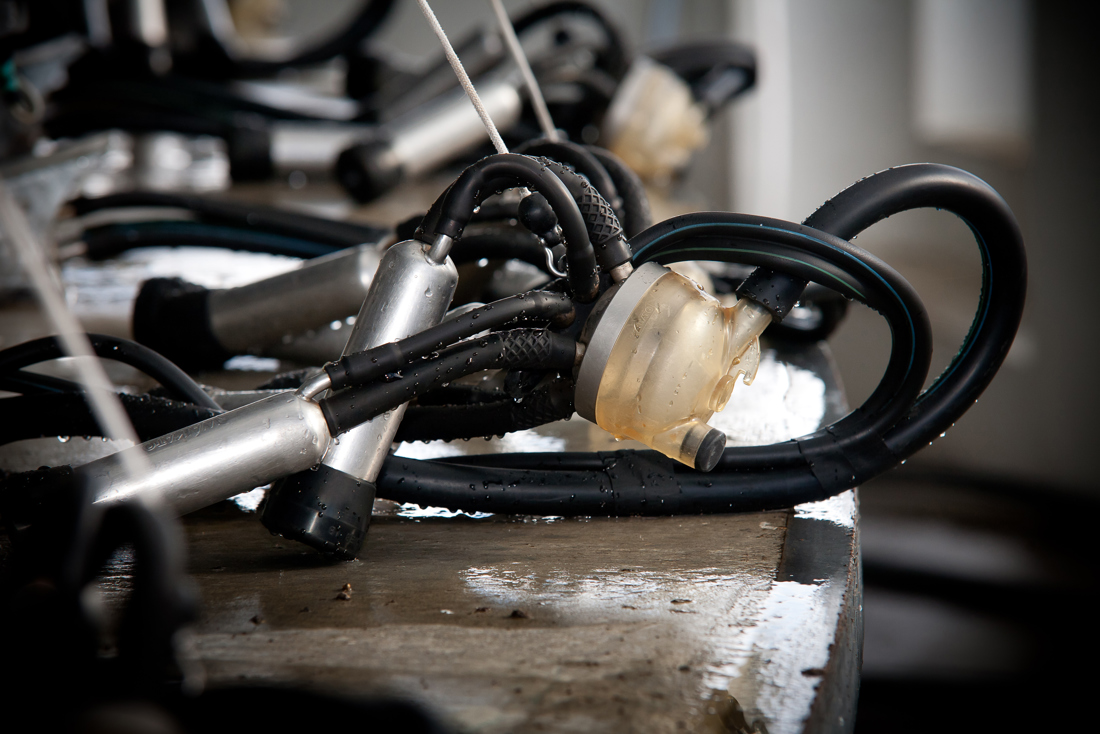A set of milking equipment arranged by sections