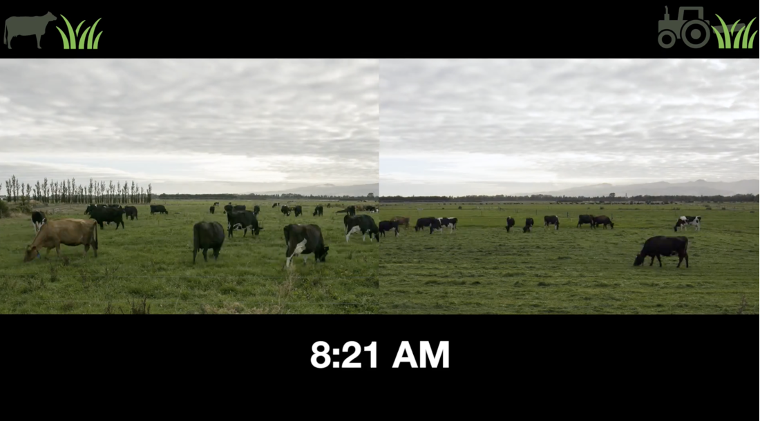 Screenshot At Sep 08 17 12 00