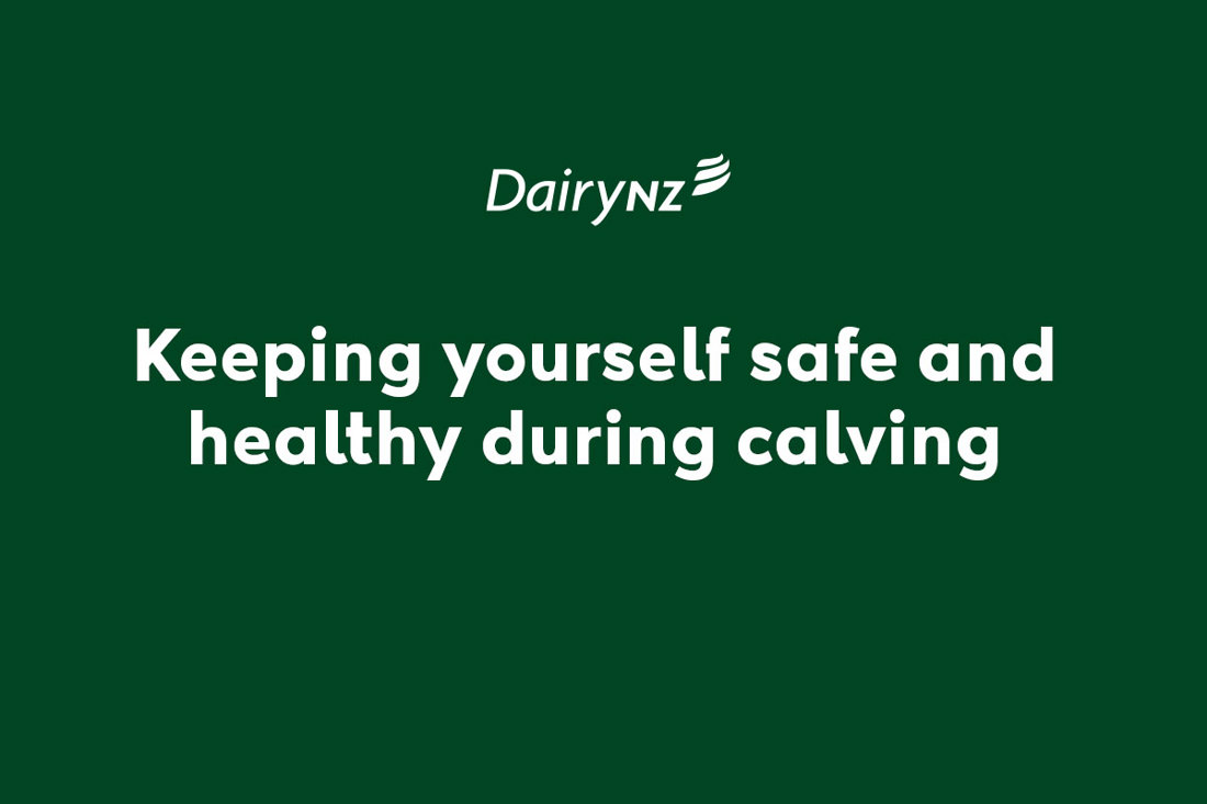 Keeping Yourself Safe And Healthy During Calving Video Placeholder