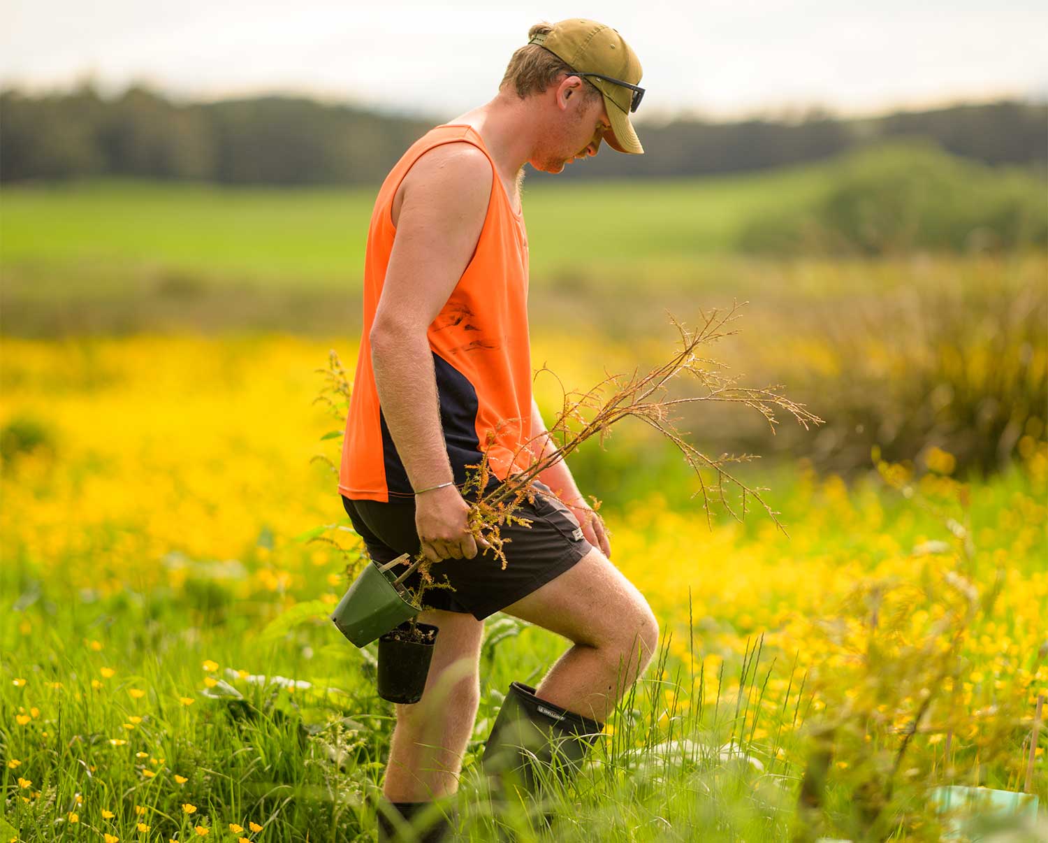 Riparian planting - DairyNZ | DairyNZ