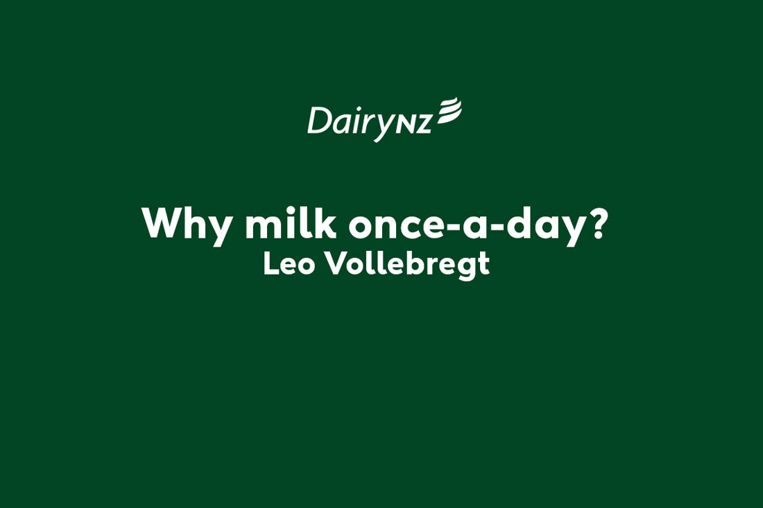 Why Milk Once A Day Leo Vollebregt Video Placeholder Image