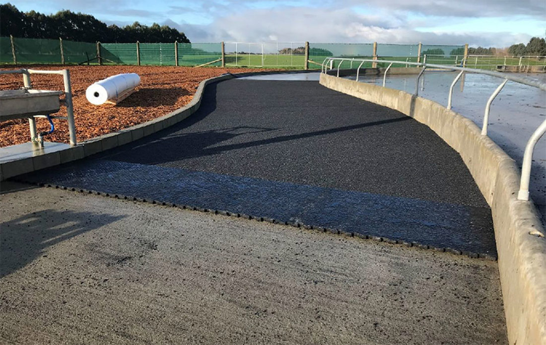 Graveled road for cows