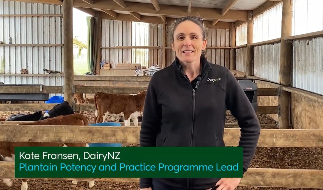 Rotorua Plantain Video Placeholder Image