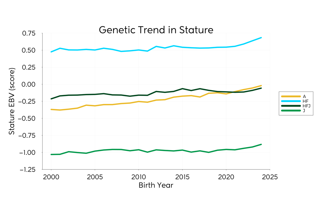 Genetic Trend Graph Stature 2025