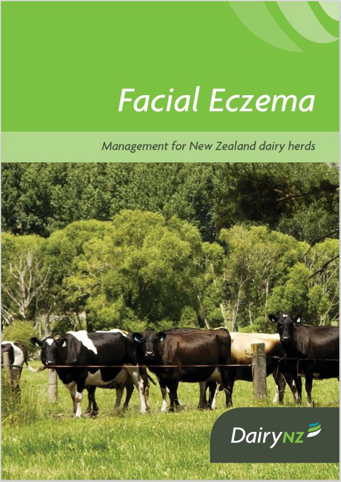 Facial Eczema Management Guide Image