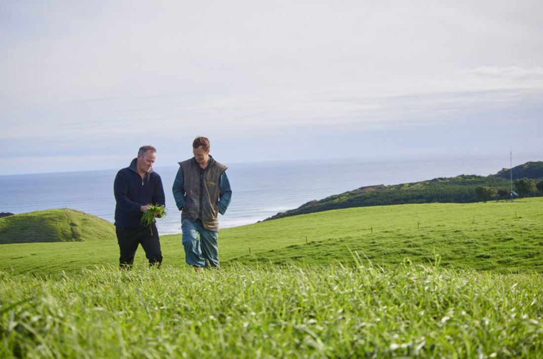 Resilient Pastures Programme Listing Image
