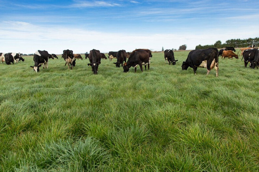 Rural Professionals Hub Environmental Advisor Latest Research Image
