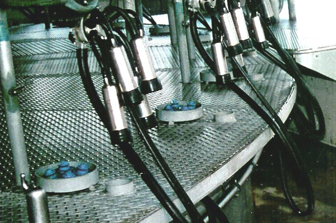 Milk Rubbers Extended