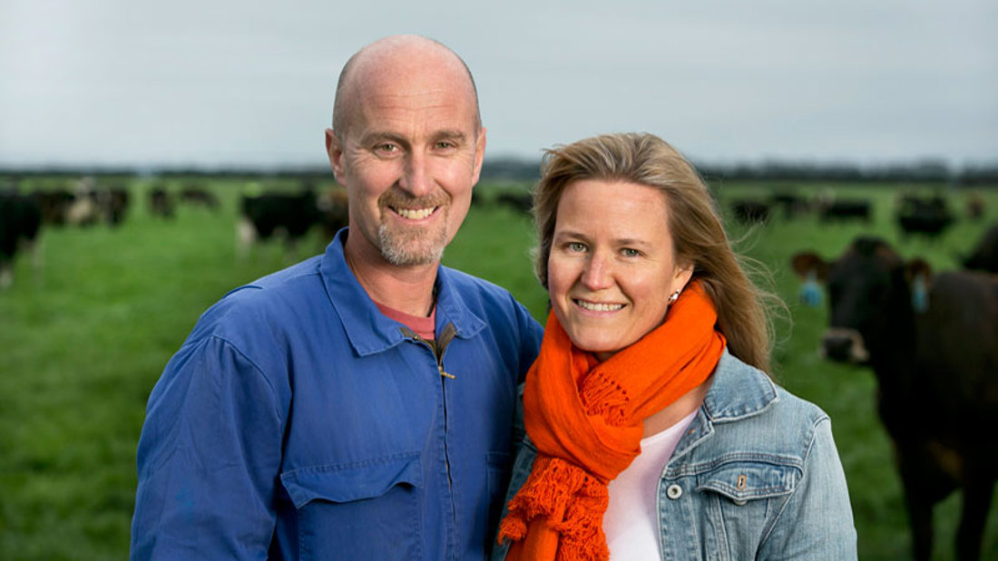 A man and woman standing in a field with cows in the background