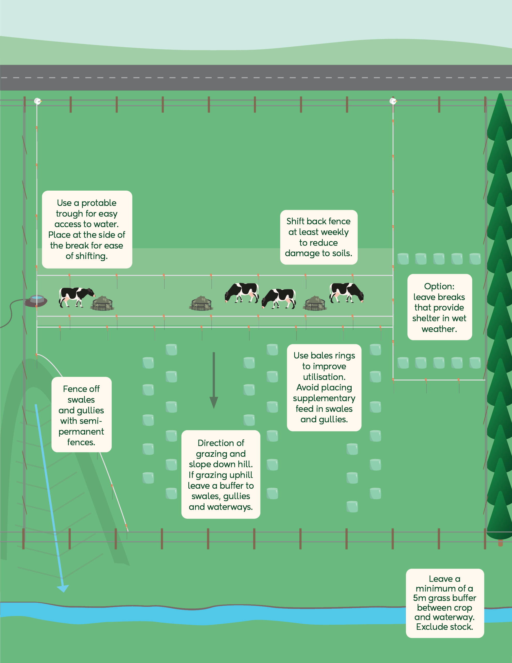 Crop establishment and paddock set up during winter grazing