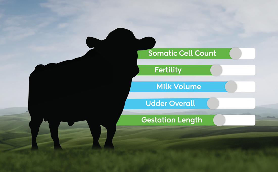 NZAEL Campaign Breeding Worth Index 920X570px V4a