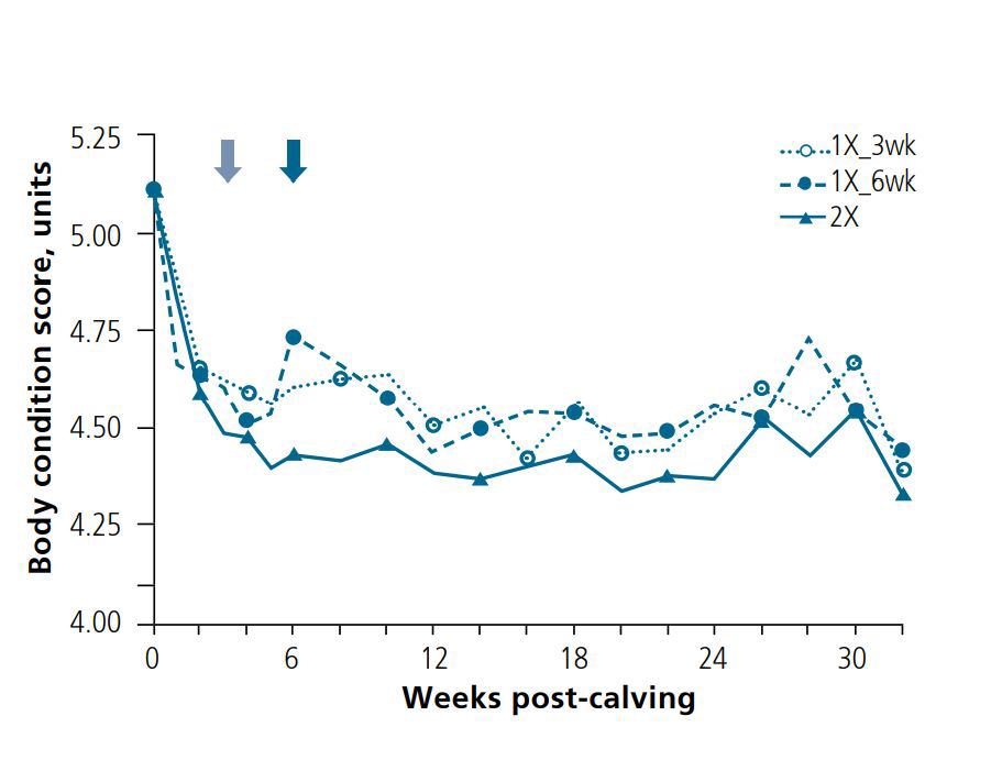 Early Lactation Oad Research Graphs Figure2