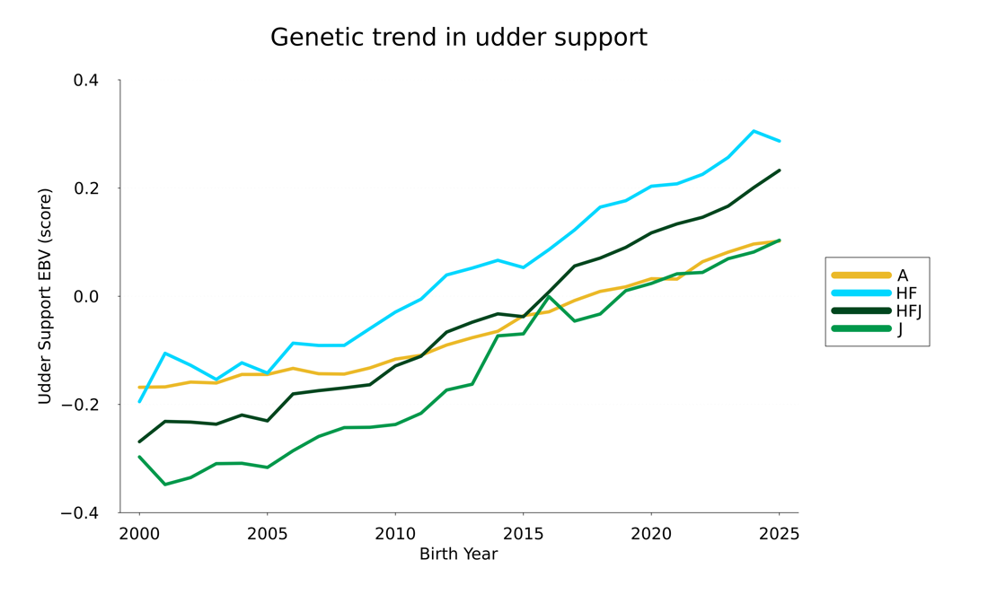 Uddersupport 25Trend
