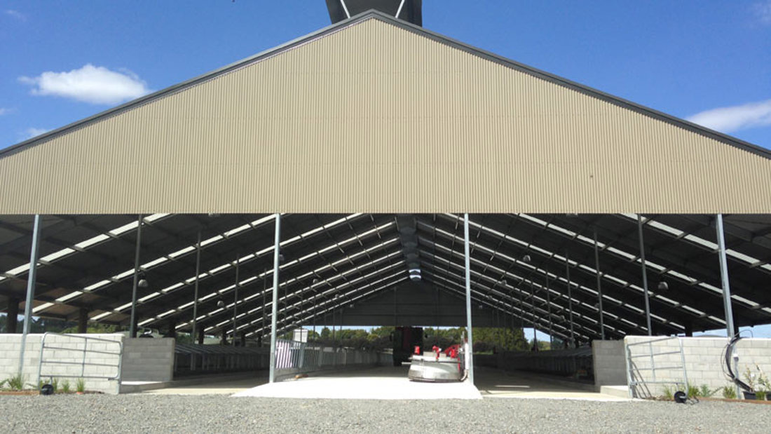 An image of paddock infrastructure