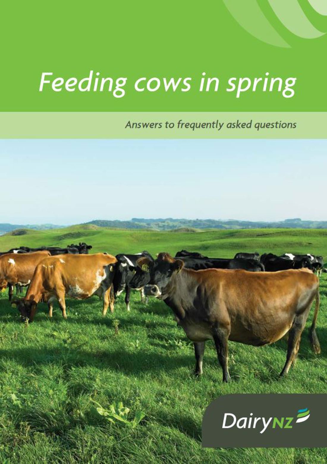 Feeding Cows In Spring Image