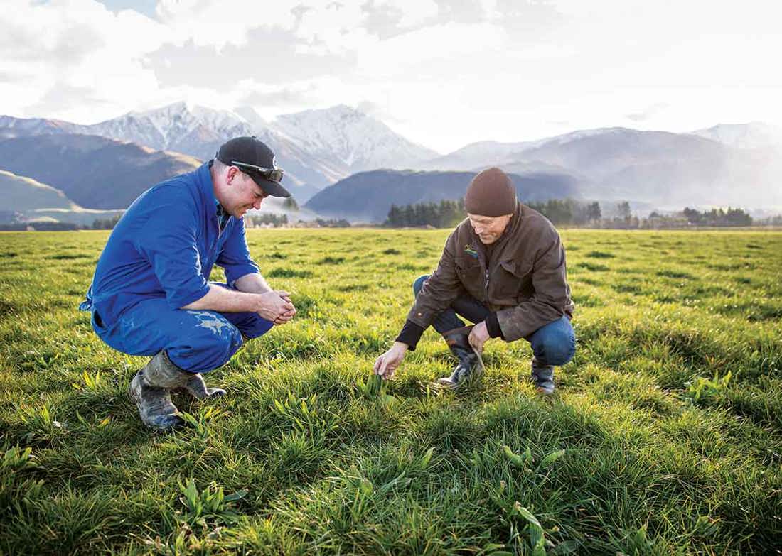 Pasture Management
