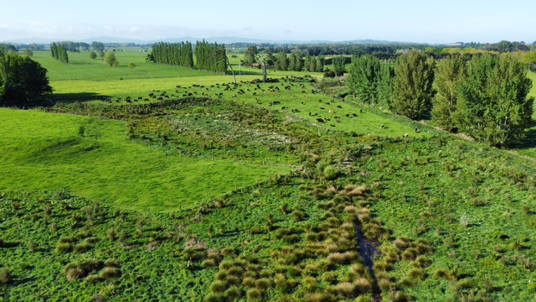 East Waikato Tatua Supply