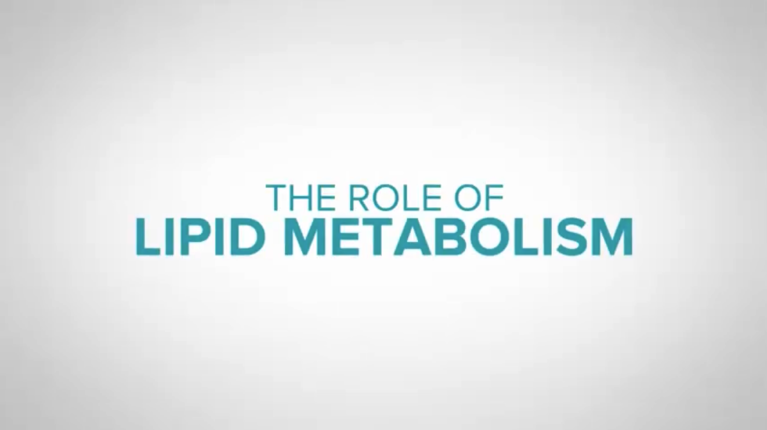 Lipid Metabolism Thumb