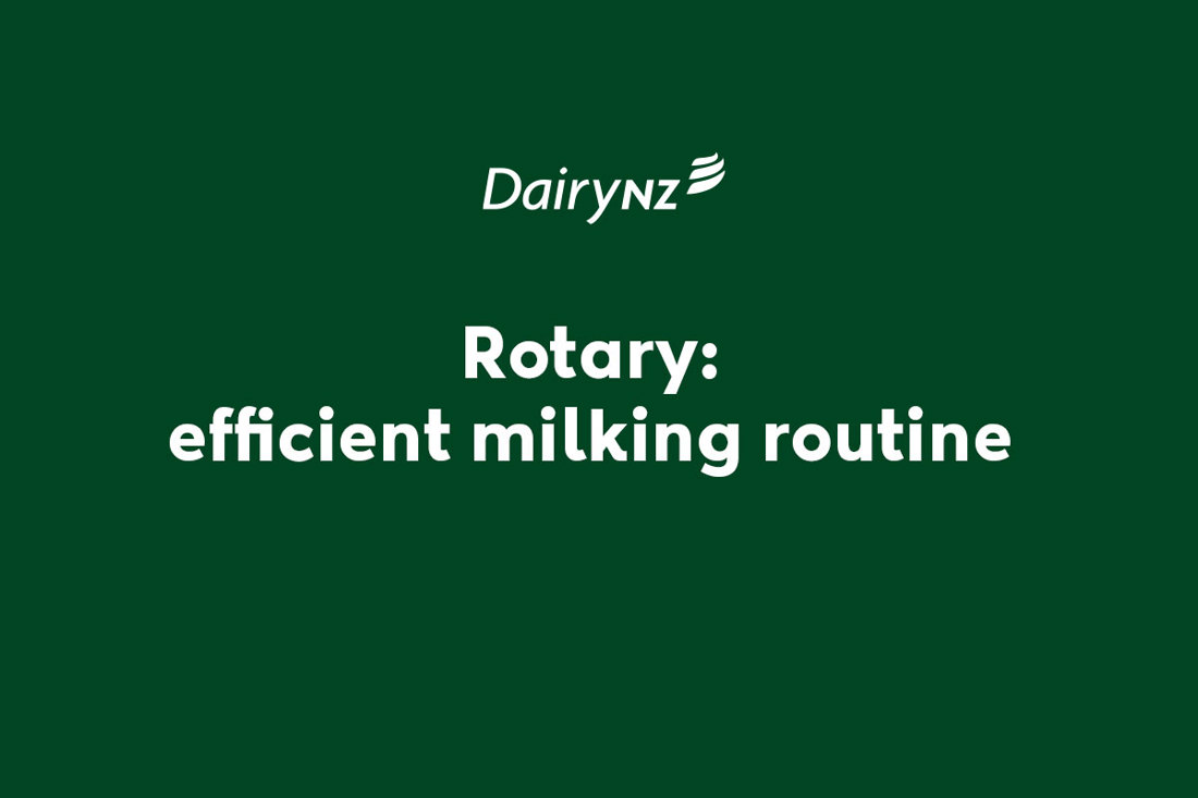 Rotary Efficient Milking Routine Video Placeholder Image