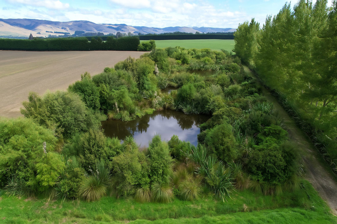 Orr Wetland 10 Years On 1500Wide