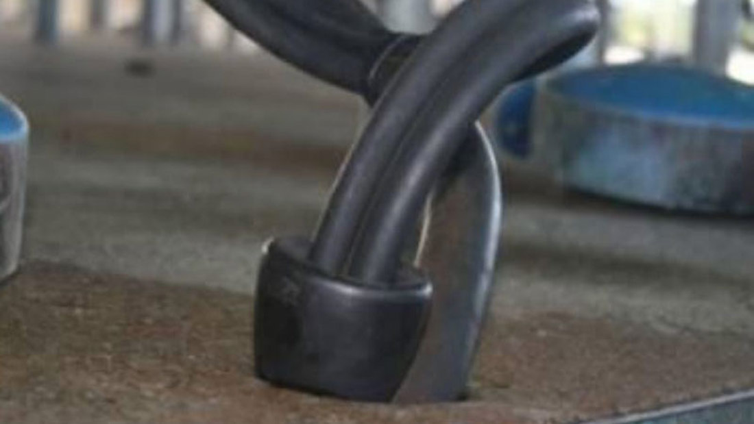 Rubber Rings