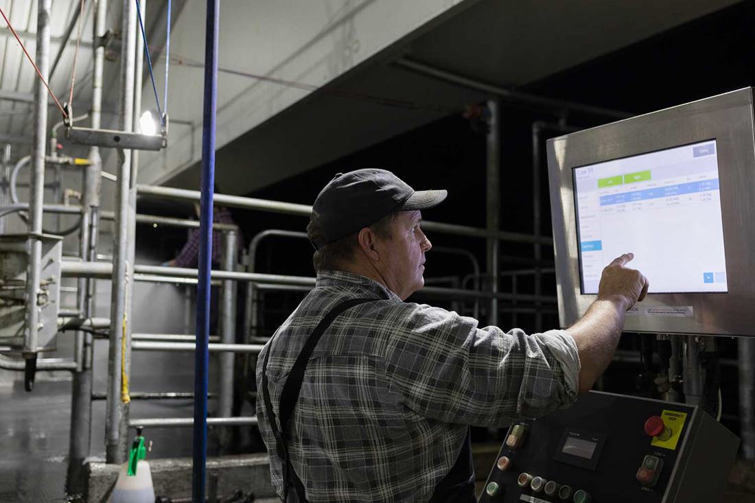 A dairy farmer using technology in the farm dairy