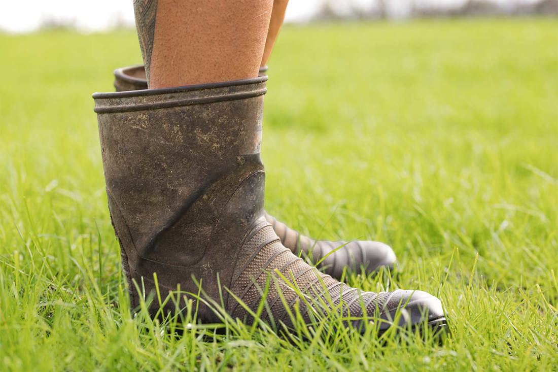 Inside Dairy November 2025 January 2026 Unlock Your Pastures Power Listing Summary Image