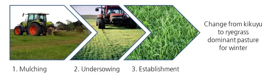 Change From Kikuyu To Ryegrass