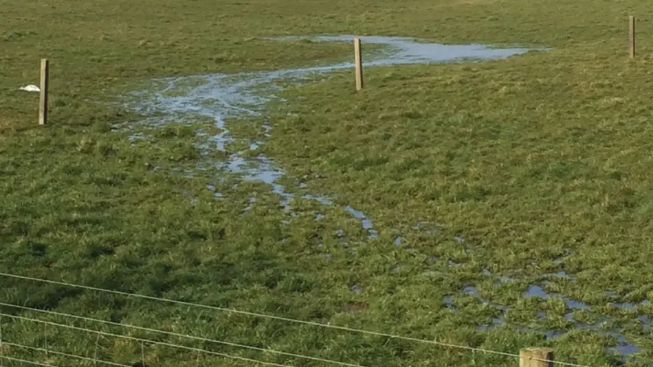 Critical source area, drains example during winter grazing