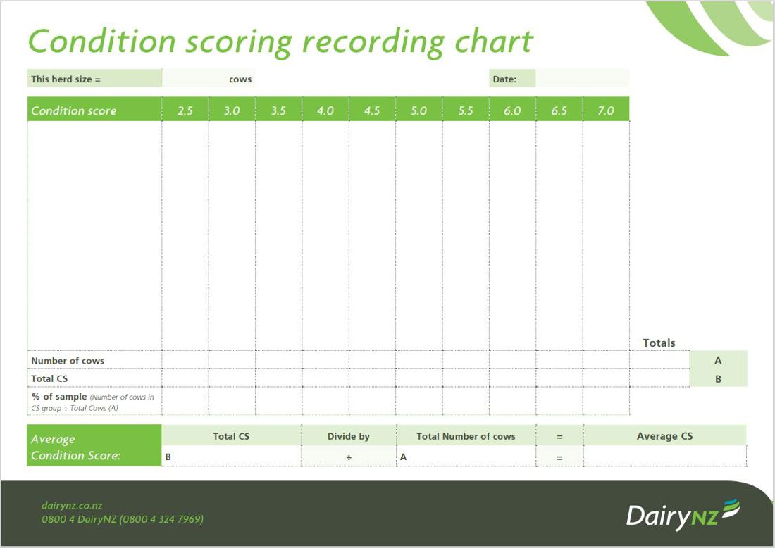 BCS Recording Chart Image