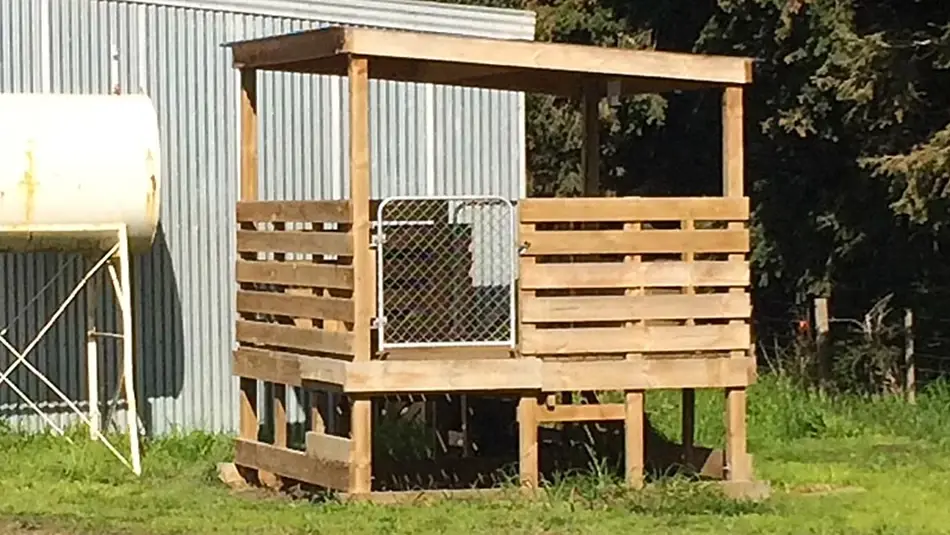 Bobby Calf Pen Roof