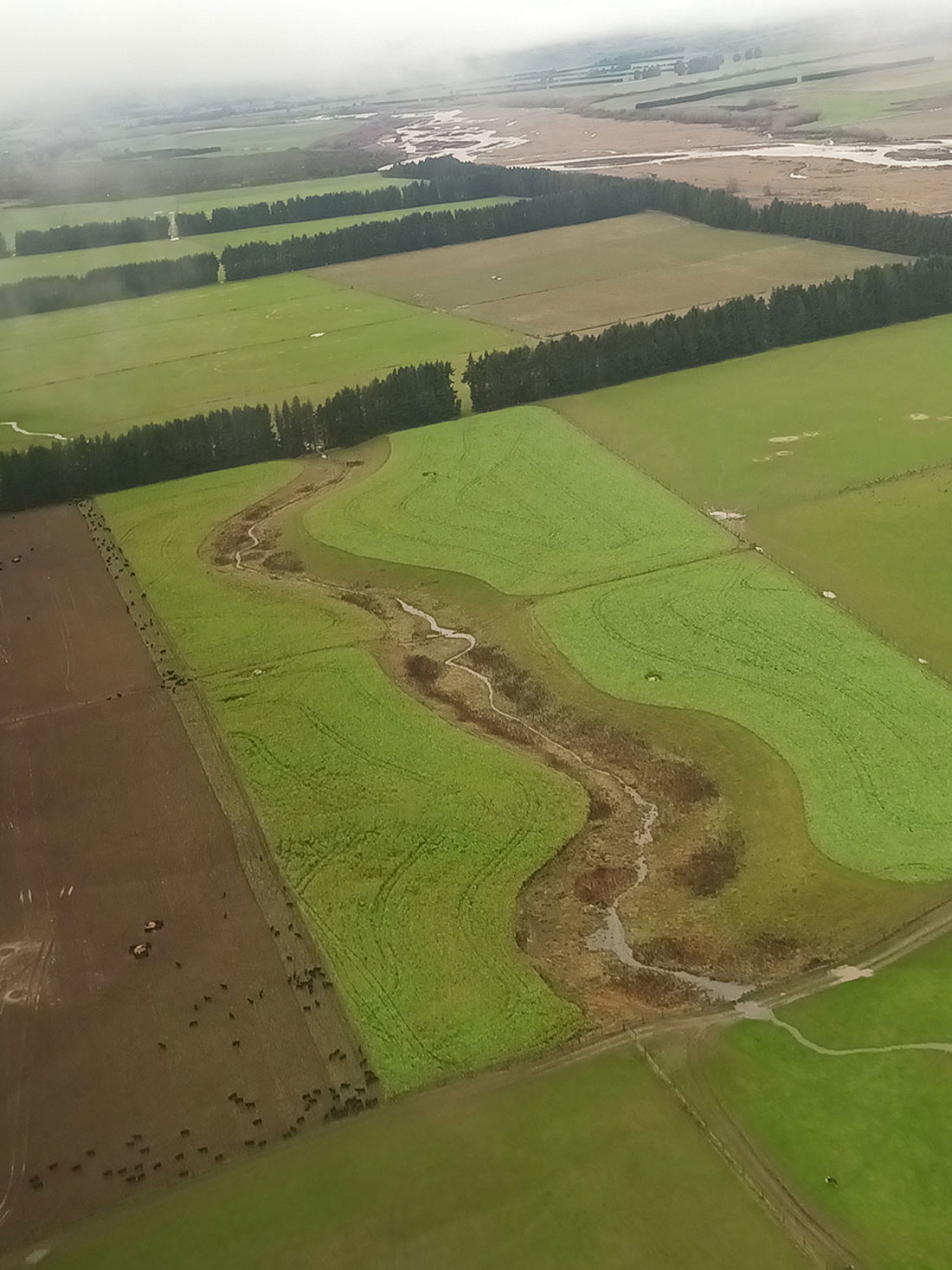 Critical source area, an unsprayed, uncultivated swale, example during winter grazing 