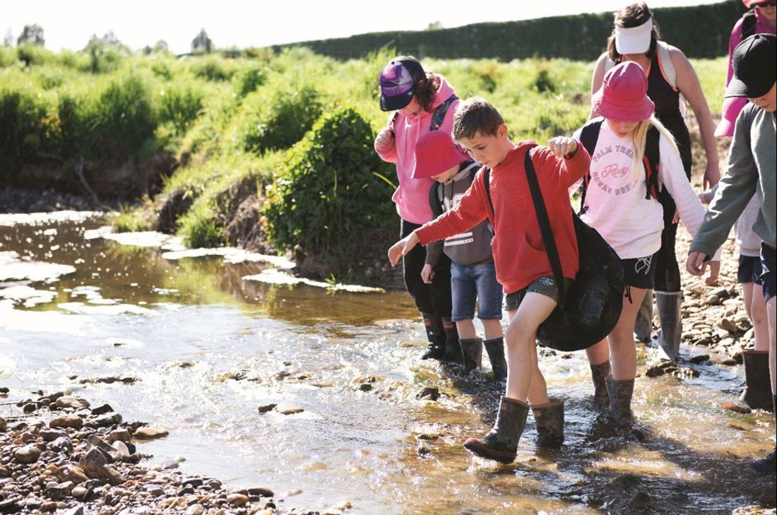 Waterbodies And Wetlands Catchment Based Approach