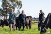 The Bunnik family in the paddock checking on their dairy herd.
