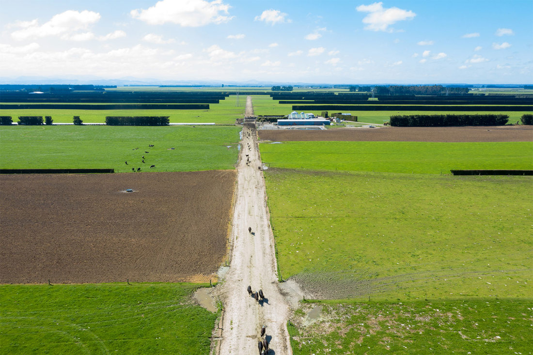 Leo Donkers Terry Kilday Willsden Farm Selwyn Canterbury Aerial Shot Cows On Race 1500X1000